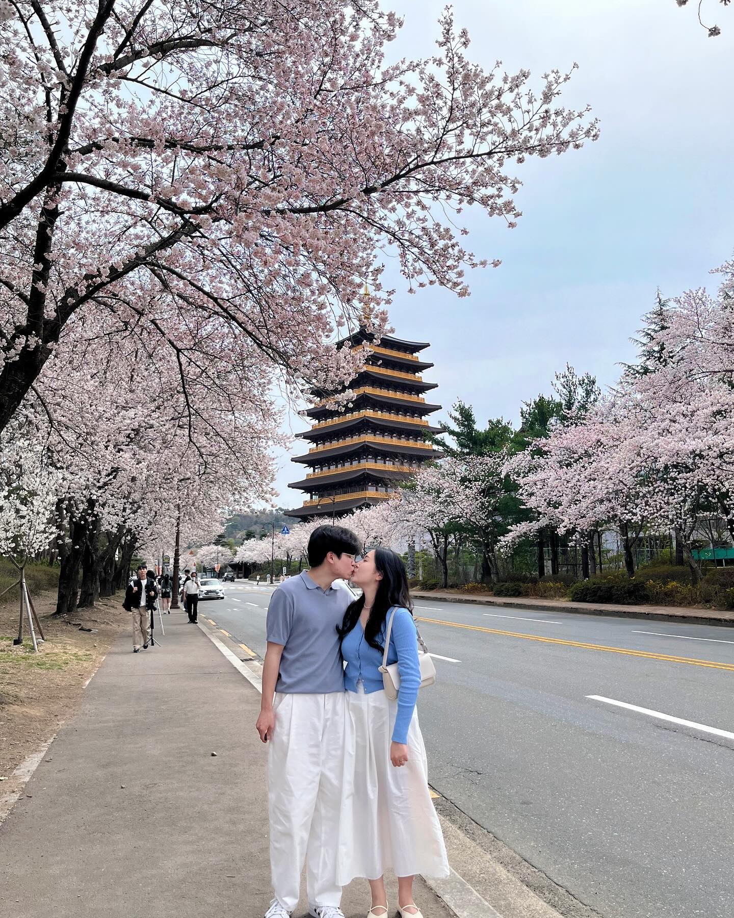 경주 벚꽃여행 🌸💞

#황룡원 

가장 기대를 많이했던 곳이었는데 날씨가 흐리기도 했고, 벚꽃도 만개한게 아니라서 아쉬웠습니다요..ㅠㅠ

그래도 앙상한 나뭇가지만 있는게 아니라서 매우 다행이었어요! 
평일 12:40쯤에 갔는데도 사람들이 많았어요ㅜ
사람들 없을 때 찍으려면 주말에는 아침 일찍 가는 걸 추천드려요

이번주 주말은 사람이 매우 많을 것으로 예상 됩니다!

🌸 황룡원 (경주시 엑스포로 40)
🚘무료주차: 경주화백컨벤션센터

#경주 #경주여행 #경주벚꽃 #경주황룡원 #황룡원 #황룡원벚꽂 #벚꽃명소 #경주벚꽃실시간 #벚꽃 #경주가볼만한곳 #경주데이트 #여행 #여행스타그램
