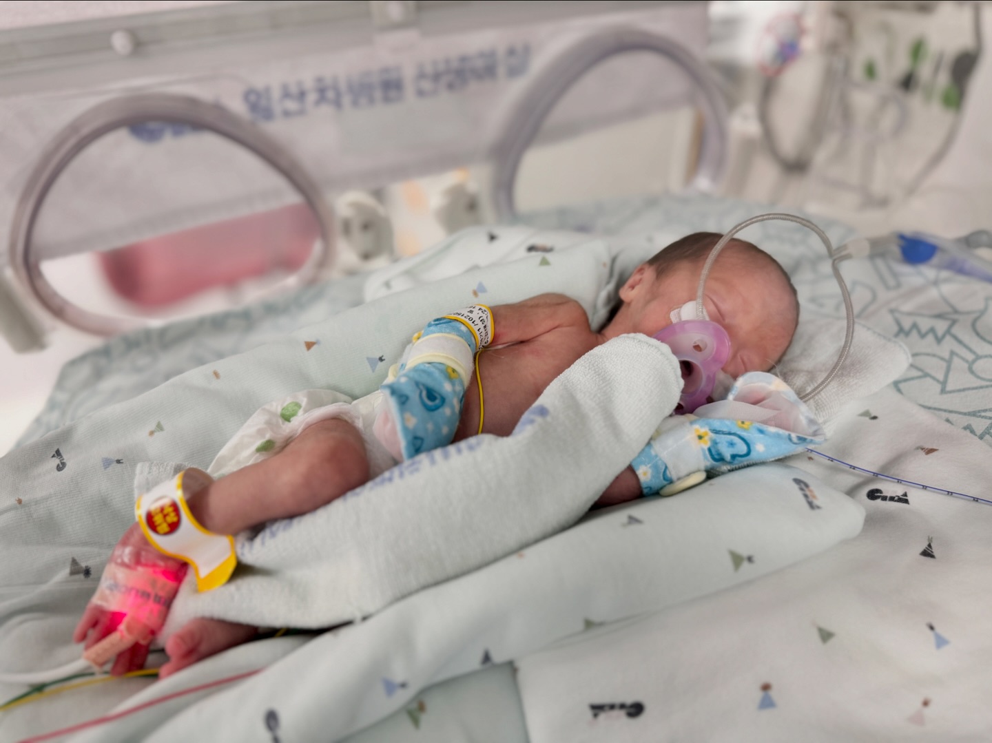 _20240807

자두 인생4일차

자몽이보다 황달기 먼저 없어져서 안대벗고 꼼지락 꼼지락
계속 움직이고 칭얼거려서 쪽쪽이 물려주고
니큐쌤이 A형 여자가 왤케 썽이 났냐고!
찰나 0.1초 눈뜬걸 엄마가 포착해따 ✌️

#쌍둥이 #딸둥이 #딸둥이그램 #twins #자두자몽👼🏻
#니큐생활 #0month #태어나줘서고마워