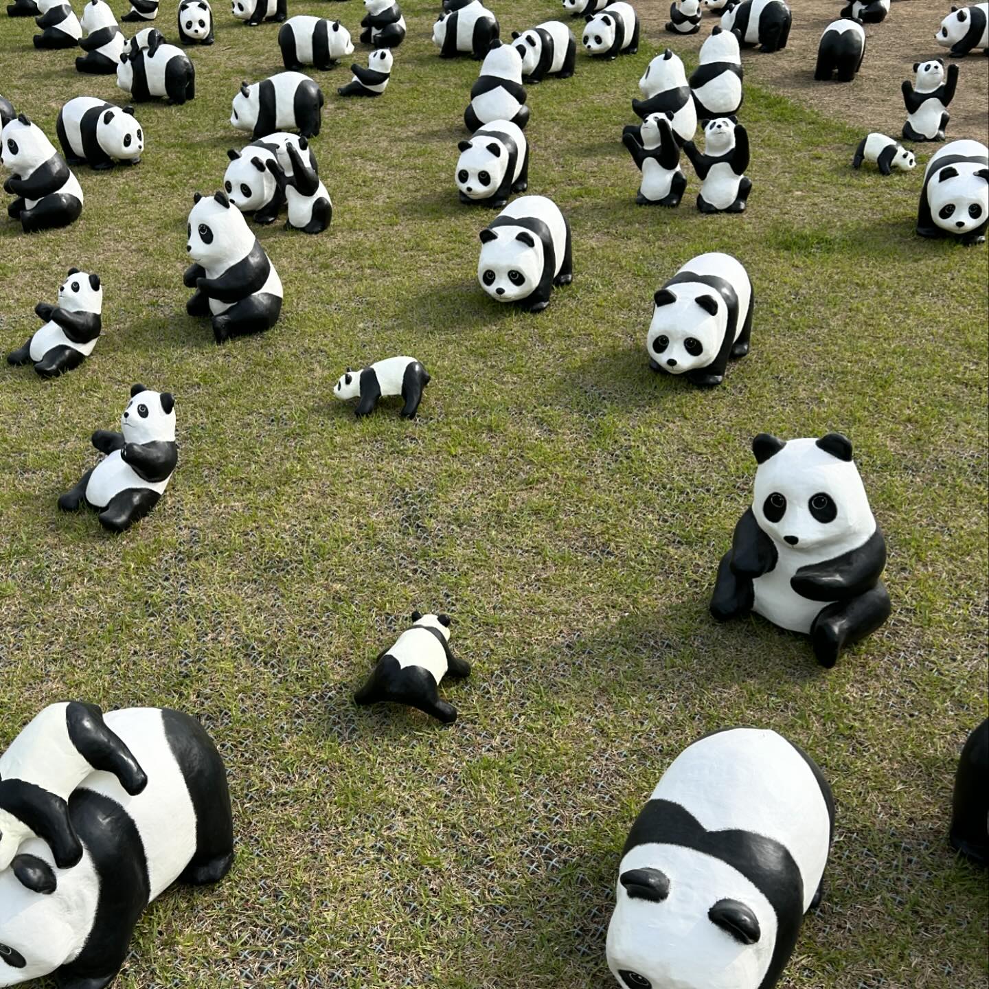 🐼BYE🐼