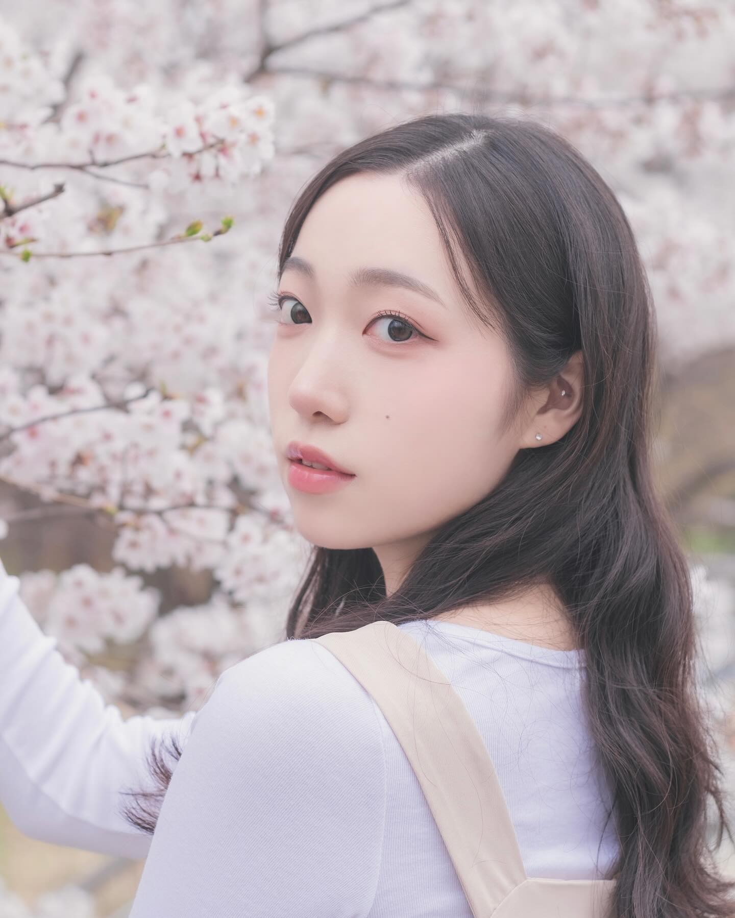 올해도 벚꽃 🌸
-

#03#22살#무용과#단국대#대학생#데일리#스냅사진#뷔스티에원피스#벚꽃스냅#벚꽃명소#벚꽃스냅촬영#스냅촬영#봄스냅#앨범커버#상호무페이#likeforlikes#dailygram#fff#l4l#instamood#ootd#daily#韩国人
