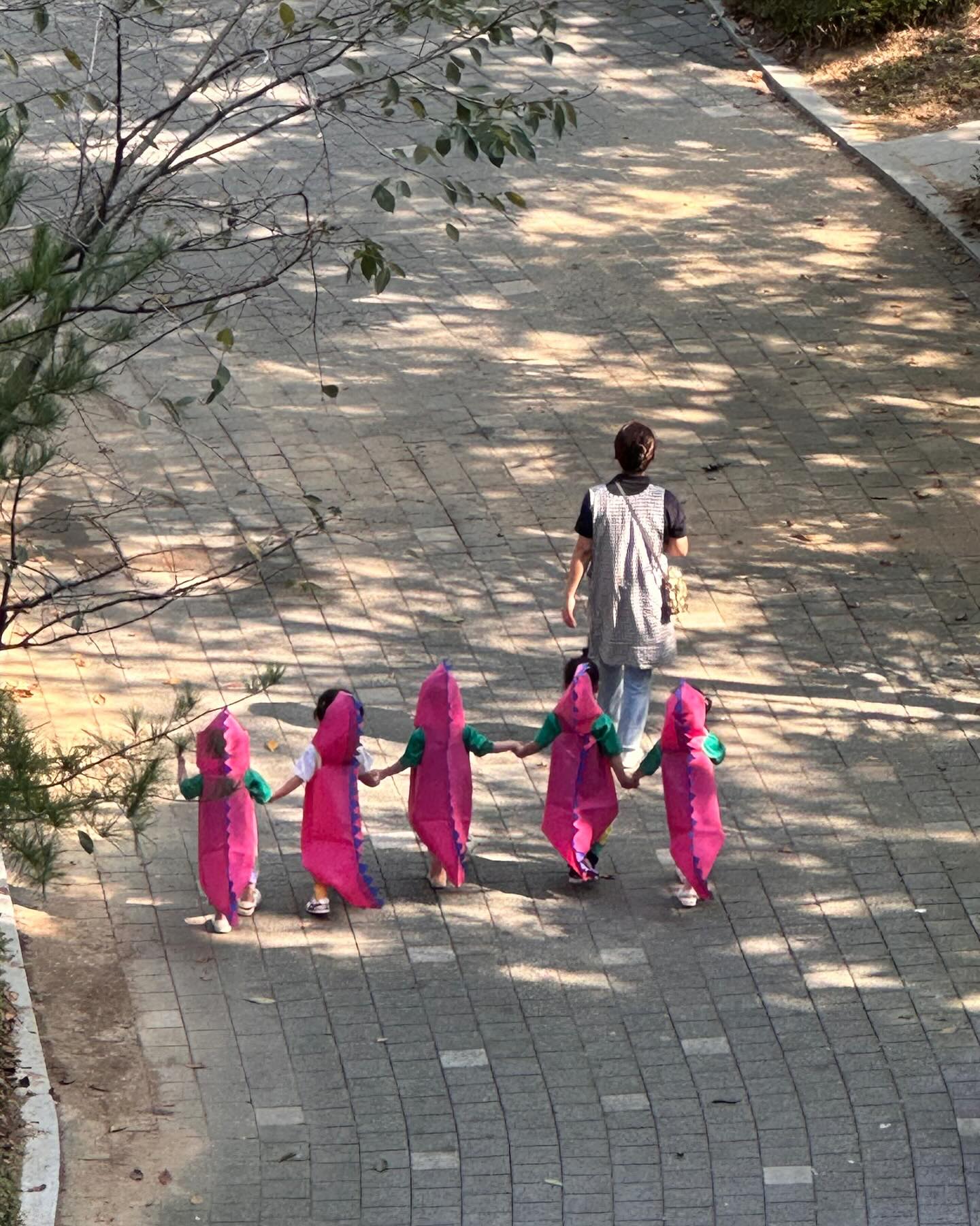 👶🏻 D+1013, 33개월 8일

담임선생님과 산책하는 아기공룡들 🦖

이제 제법 선선해졌다. 
산책 많이 많이 하며 가을을 즐겨보자 🤎

#33개월아기 #어린이집선생님들존경합니다