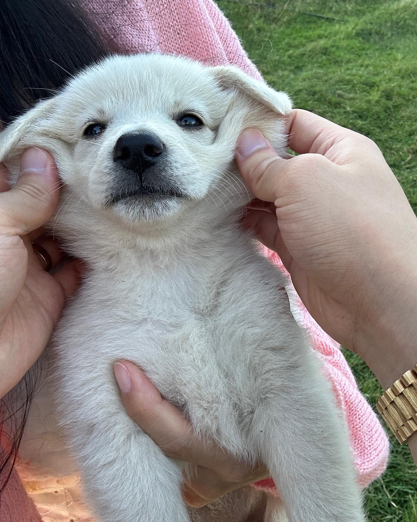 귀여운거 잔뜩🐶💖🐾