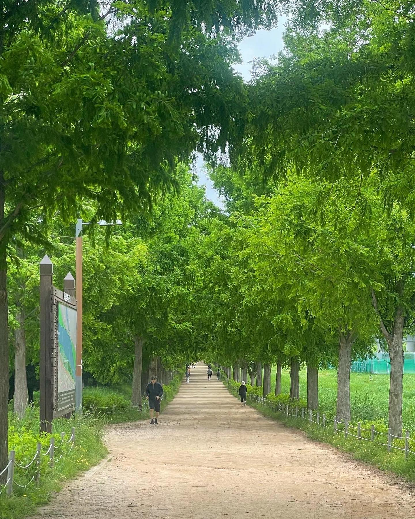 주말 야외 수업 + 웨이트 💚💪