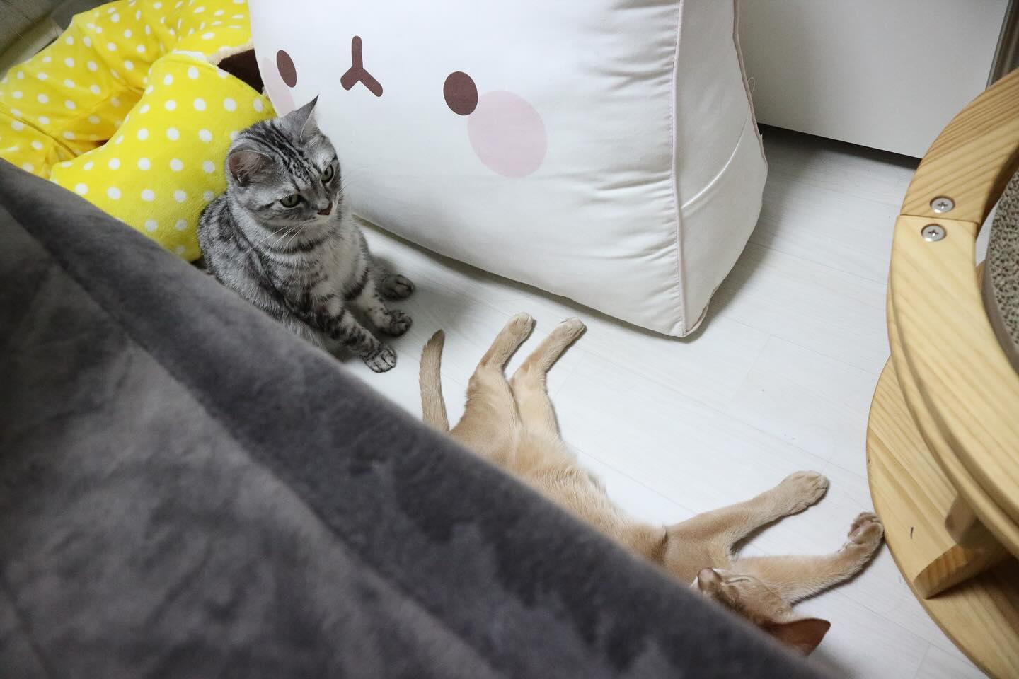 수많은 너희를 위한 것은 결국 부질없었다...