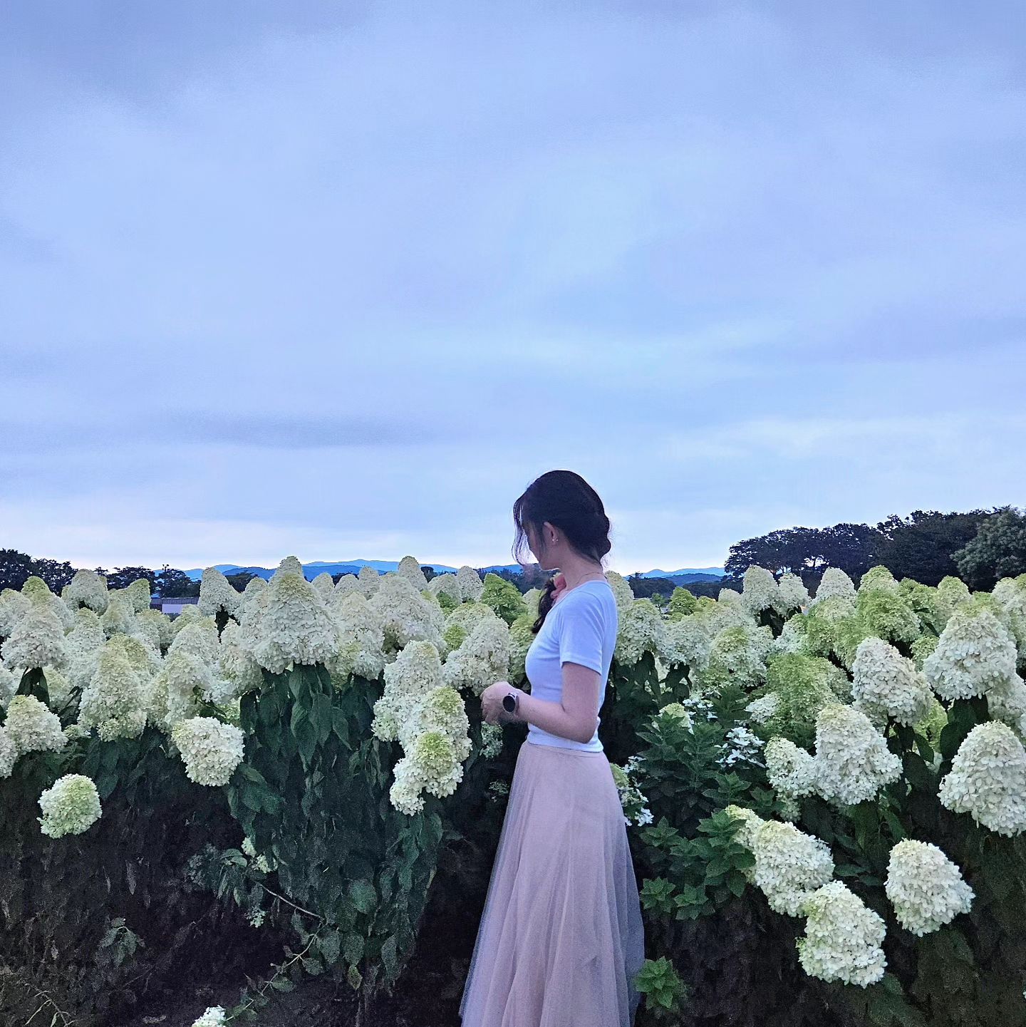 240805-1