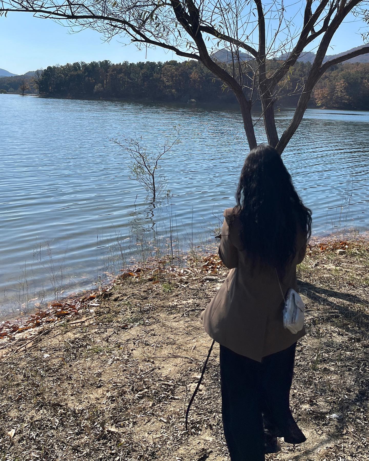 Fall dump 🍃