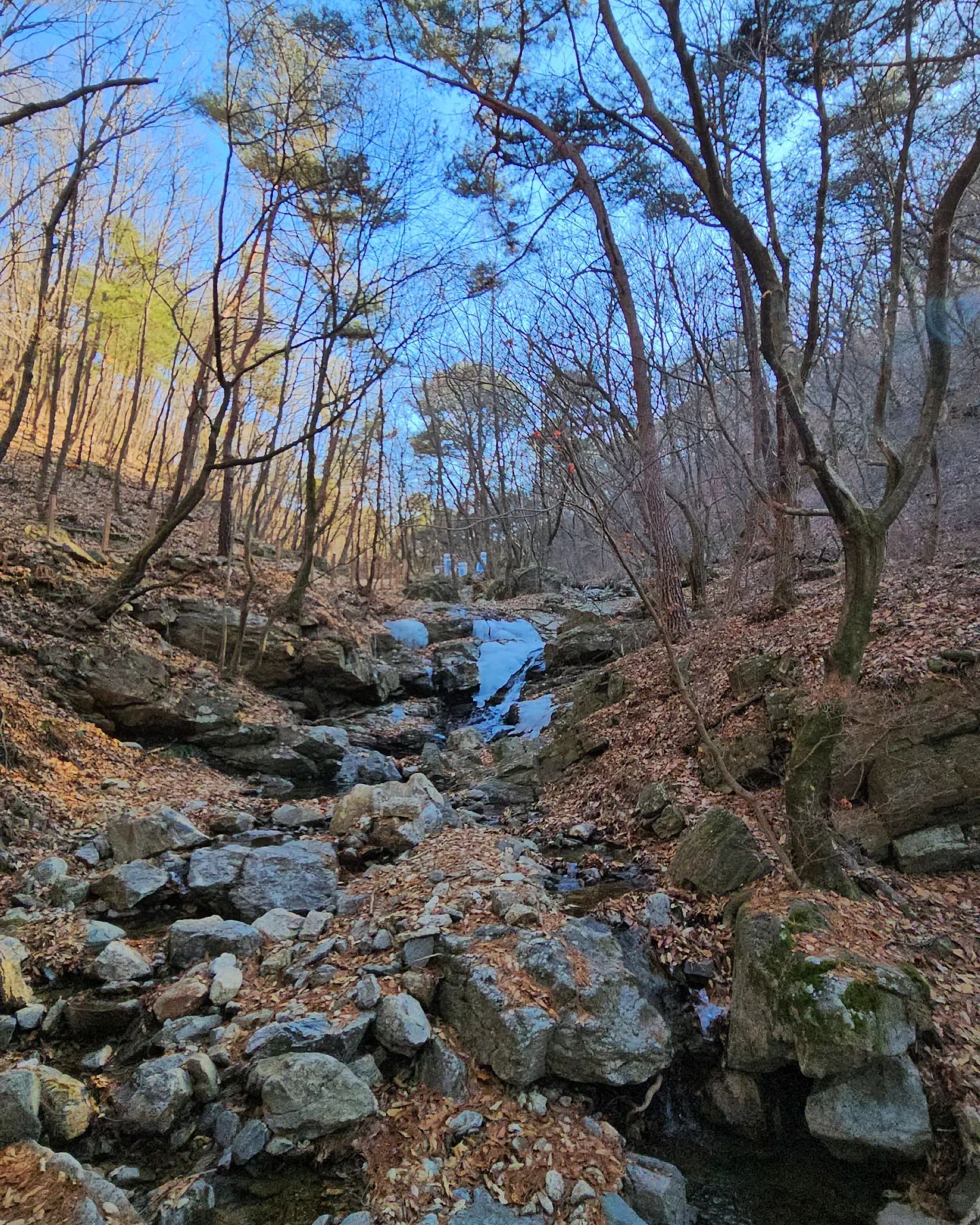 주말1

새해 첫번째 산행은 
내가 좋아하는 봉우리만 다녀왔다🥾
1일 일출보러 가는건 
아직 단풍산행에서 백운대 암릉구간만 한시간사십분걸린 트라우마...때문에..패쓰...했더니
이번이 첫산행이되었음

일출볼까했는데
혼자가기 넘어두운게 갑자기 무서워서 안전을위해
해뜨고 가기로함.
덕분에 해가나서 나름 따땃.

산에서 뜨신물 엄청 맛있어서
영하6도라는 소식이라 충분할것같아
1리터짜리 텀블러 챙겼는데 징짜 넘무겁...💦
지만 아주 유용했음.

도시는 미세먼지 초미세먼지 심하다는데
산속은 피톤치드 적은 계절임에도
공기 무진장 좋았음!

세상 맛있는거 별로 없는 사람인데
심지어 밥은 세상 편하고 여유롭고 느긋하게 먹자주의인데
산에서 먹는거 진짜 넘 행복햐🥹

처음 등산할때 먹은게 김밥과 샌디치라
수년째 매번 김밥 샌디치였음
그런데 이번에 메뉴를 바꿔 국물블럭을 챙겼는데
이거뭐야... 나 조미료 좋아하자나....
