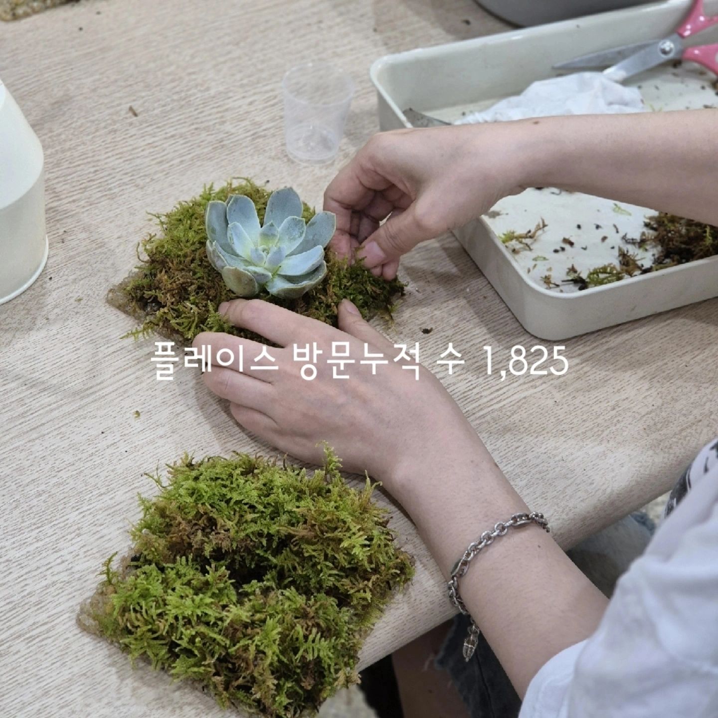 어떤공간이든이 이사했습니다!
구월동에서 만수동으로 이전했어요.
이제 남동구청근처 남동아파트 상가1층에서 만나요.

식물공예클래스, 인테리어소품, 식물오브제
네이버에서 어떤공간이든을 검색해주세요!

#만수동원데이클래스 #남동구청원데이클래스 #인테리어소품 #인천원데이클래스 #희귀식물 #식물 #다육식물 #이끼 #남동구청꽃집 #만수동꽃집