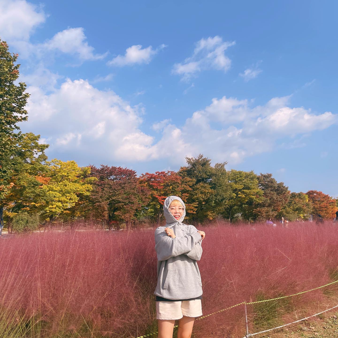 핑크뮬ㄹ리ㅣ이~💖다음엔 먹을거 싸들고 와야지이ㅣ~~~😛
.
#하남미사공원#미사리경정공원#핑크뮬리