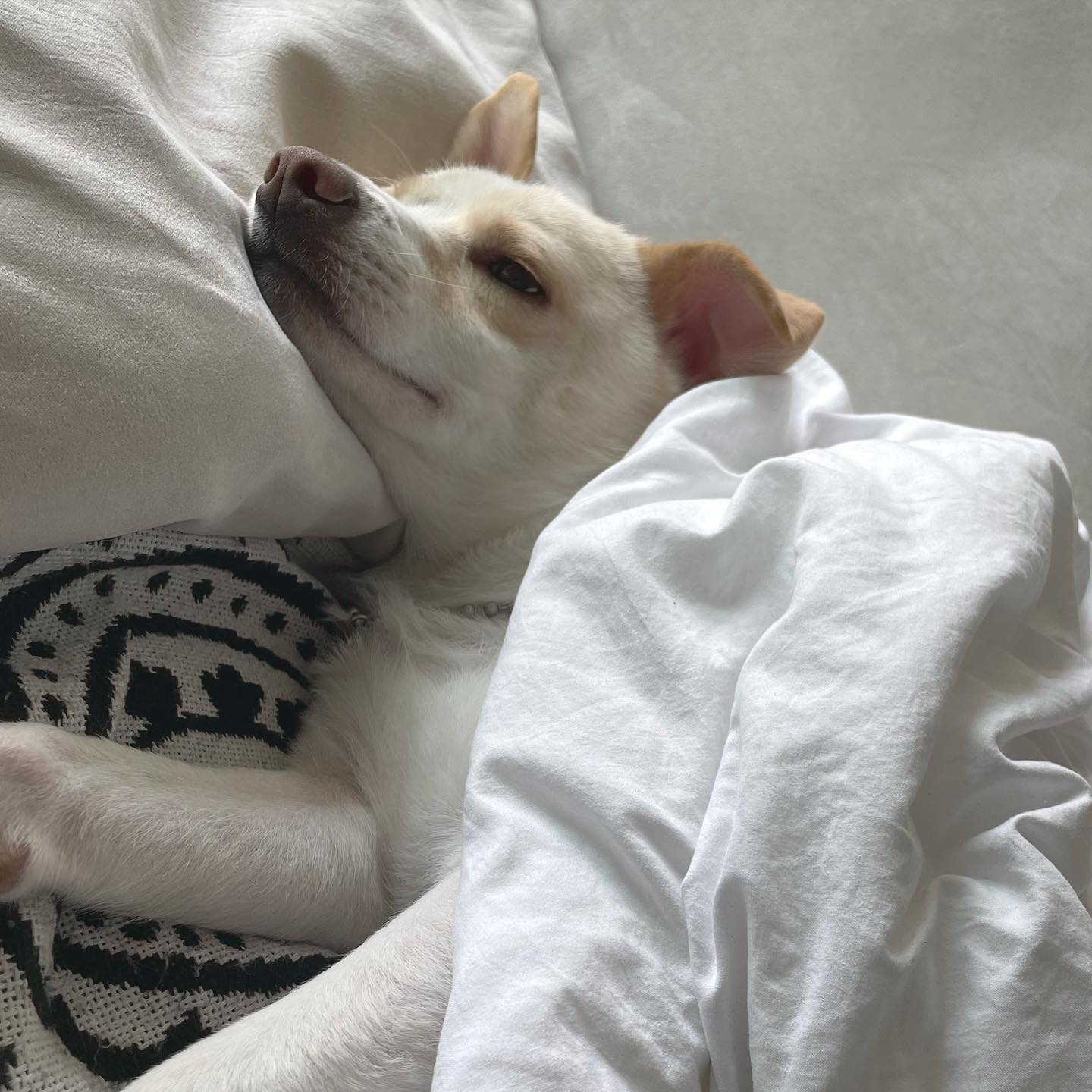 오복아 졸려?