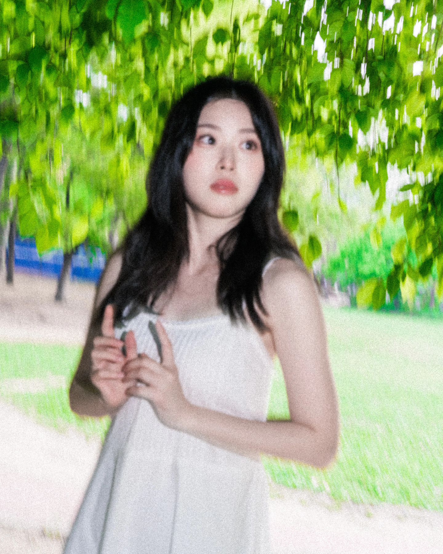 사진 담기 좋은 계절! 여름☘️