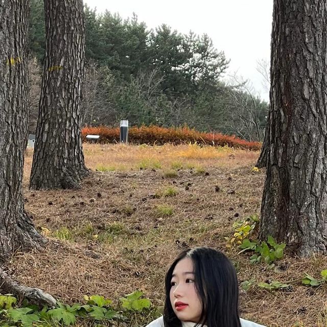 이진 ✿ on Instagram