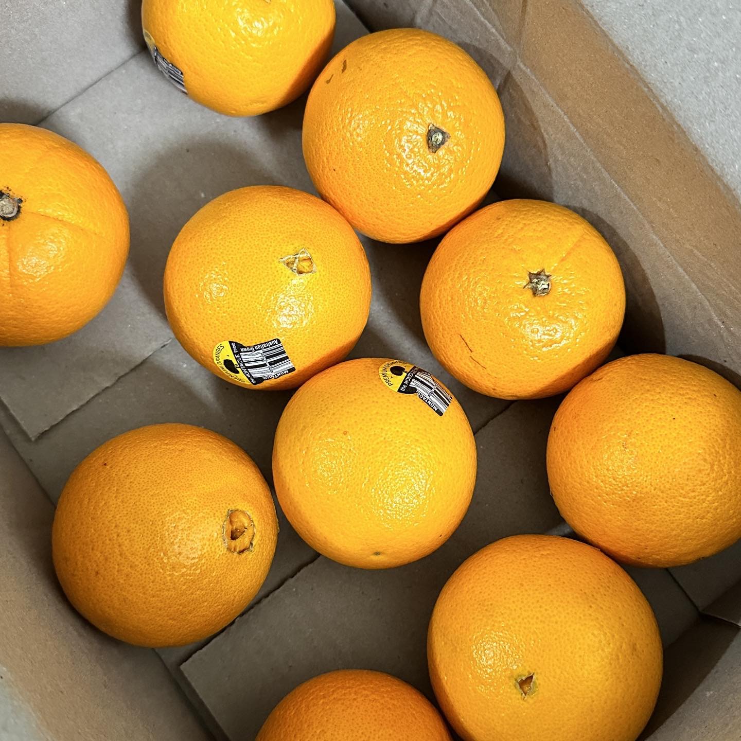 옥렌지 🍊