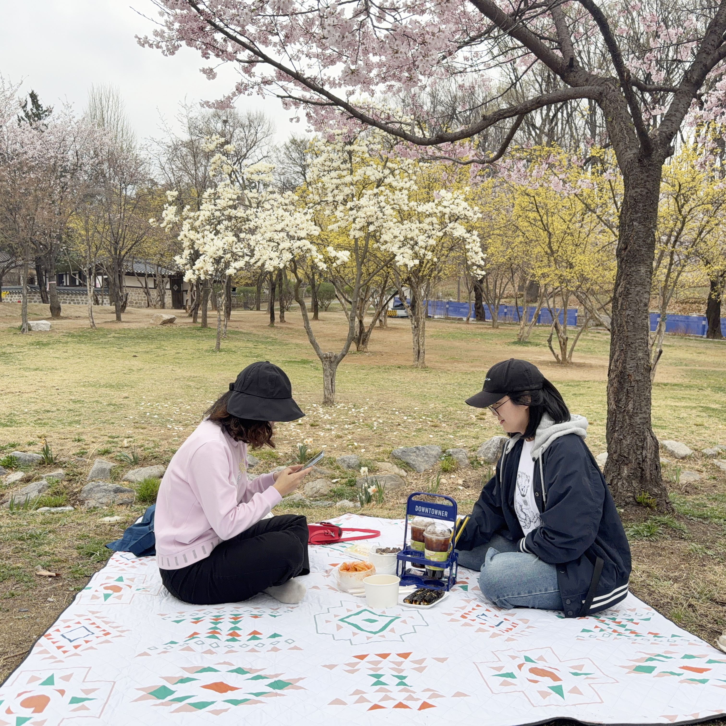 로즈바운드