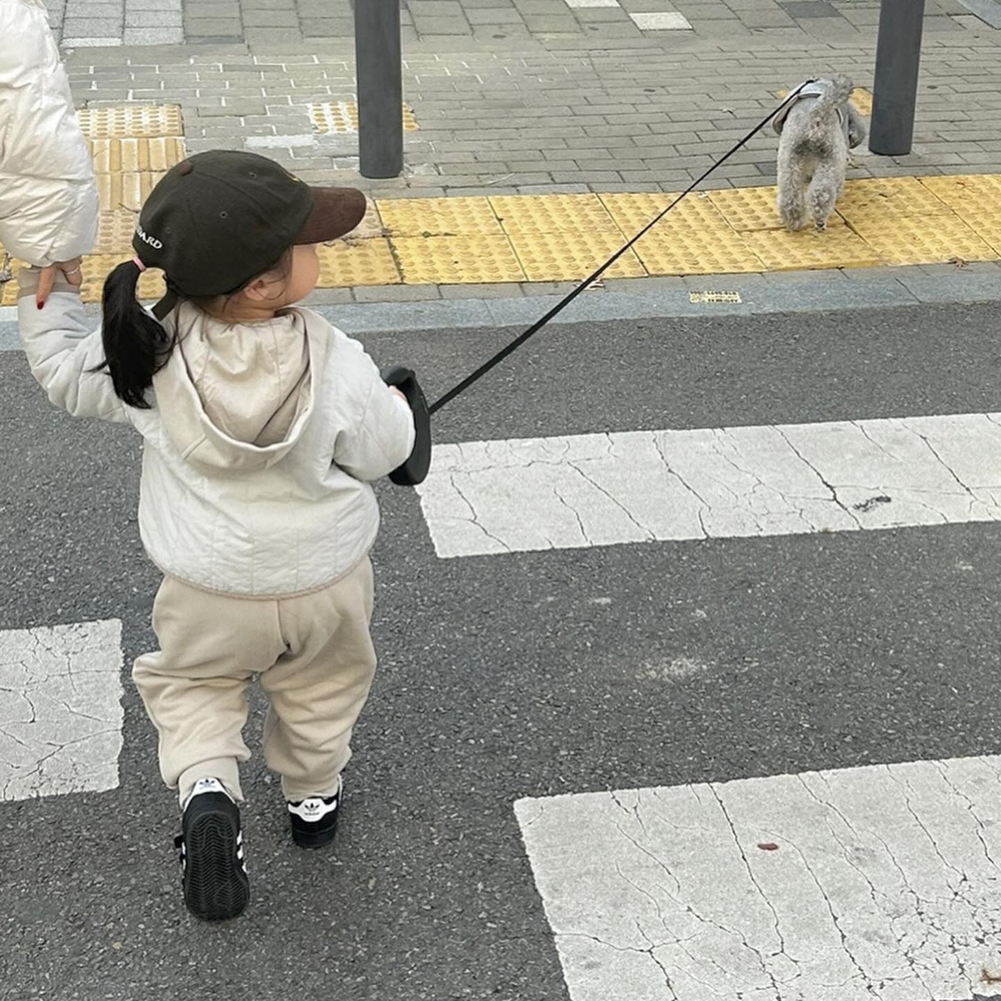 앙증맞은 뒷태 🤎🐻
이모찾다 잠들었다는데 맴찢이다 ..🥹
#담주에또만나 #김포뇨