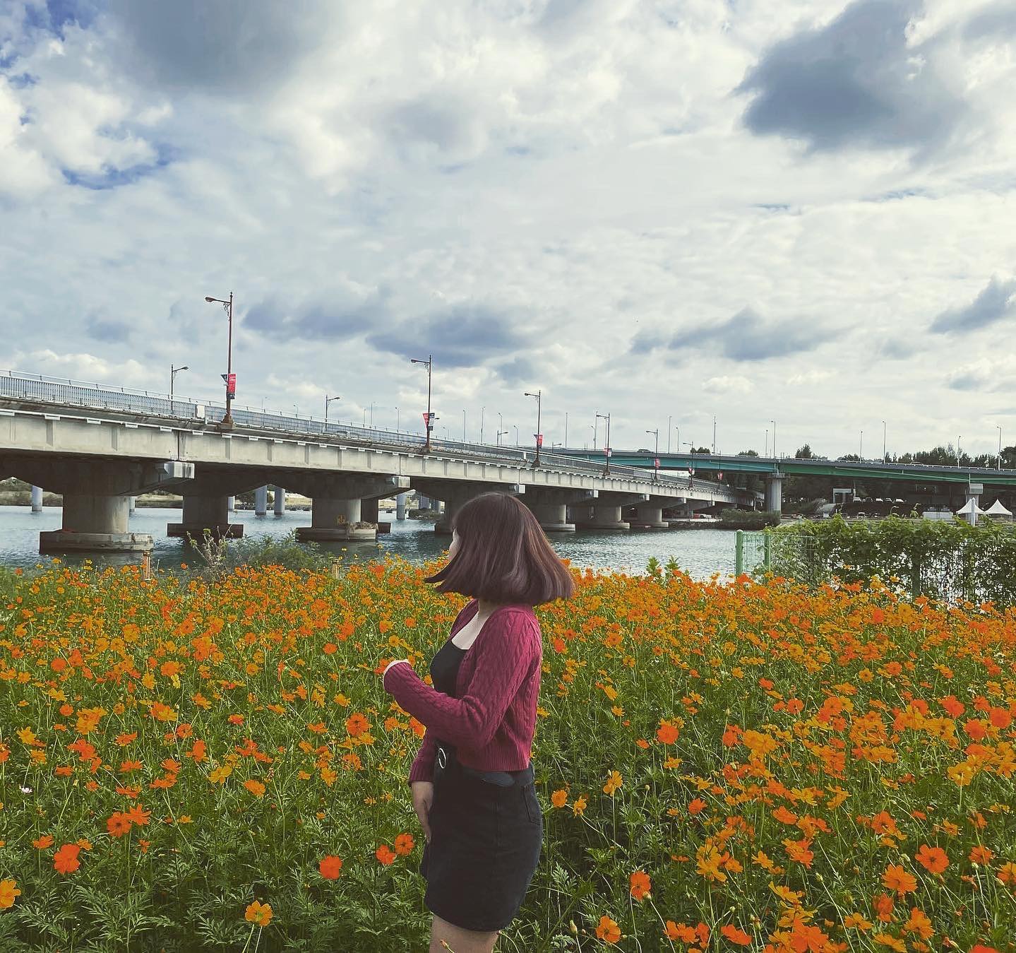 🌼