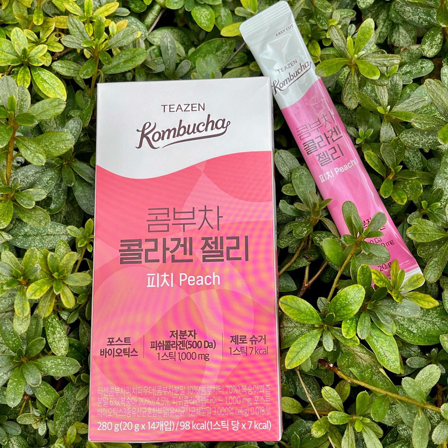 #제품제공 #협찬 teazenofficial 

콤리어답터 출동했습니다!

믿고 먹는 티젠의 신제품❣️
“콤부차 콜라겐 젤리 피치”

맛있는 콤부차에 콜라겐을 더해
몸도 가볍고 피부도 탱글하게 이너뷰티 관리해보세요:)

🌷저분자 피쉬콜라겐(500Da,1스틱 1,000mg)

🌷포스트바이오틱스 유산균 

🌷제로슈가&1스틱 7kcal

🌷새콤달콤 피치맛

🌷용량 20g X 14ea

콜라겐은 분자크기가 작은 저분자 제품으로 먹는게 흡수율이 좋다고 해요! 피부보습 뿐만 아니라 자외선으로부터 피부건강 유지에 도움이 된다고 합니다~

언제 어디서든 간편하게!
제로슈가에 칼로리도 낮아 부담없이!
유산균이 포함되어있어 건강까지 한번에!

📌9월 올영세일에서도 착한 가격으로 맛있게 이너뷰티를 챙길 수 있으니 당장 달려가세요~

#콤부차콜라겐젤리 #티젠 #티젠콤부차 #티젠콤부차콜라겐젤리 #티젠콜라겐젤리 #콜라겐젤리 #콤리어답터 #올리브영 #올리브영추천템 #콤부차 #소통 #소통환영 #댓글 #댓글환영 #맞팔 #맞팔환영 #먹팔 #먹스타그램 #맛집추천