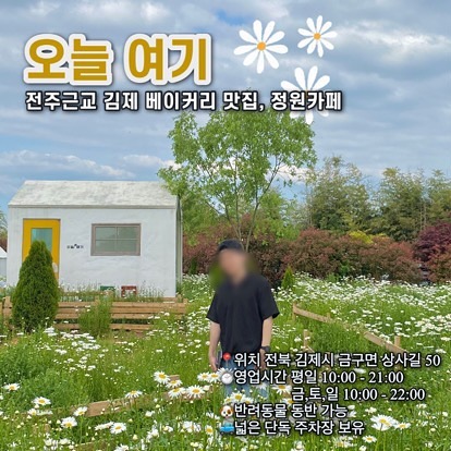 김제카페 ‘오늘여기’

📍위치 전북 김제시 금구면 상사길 50
​⏱영업시간 평일 10:00 - 21:00
  금,토,일 10:00 - 22:00
​🐶반려동물 동반 가능 (야외자리만, 리드줄 배변봉투 필수)
🚙넓은 단독 주차장 보유 

데이지가 정말 만개한 김제 카페 오늘여기 ✨
시즌마다 유채꽃, 데이지, 유럽수국, 핑크뮬리로 꾸며지는 곳으로 겨울엔 크리스마스 감성 가득 !!! 
지금응 만개한 데이지와 피고있는 유럽수국, 지고있는 유채꽃을 볼 수 있어요 
샤스타데이지가 정말 예뻐수 꼭 다녀오시길 추천드려요 :)

아 그리고 베이커리도 많아서 입도 즐거운 곳이랍니다 😆💛

ㅡㅡㅡㅡㅡㅡㅡㅡㅡㅡㅡㅡㅡㅡㅡㅡㅡㅡㅡㅡㅡㅡㅡㅡㅡㅡㅡㅡㅡㅡㅡㅡㅡㅡㅡㅡ

광주맛집은 #다모여_광주 
근교는 #다모여_지역명 

저장, 태그하고 @ 함께 다녀오세요 :)