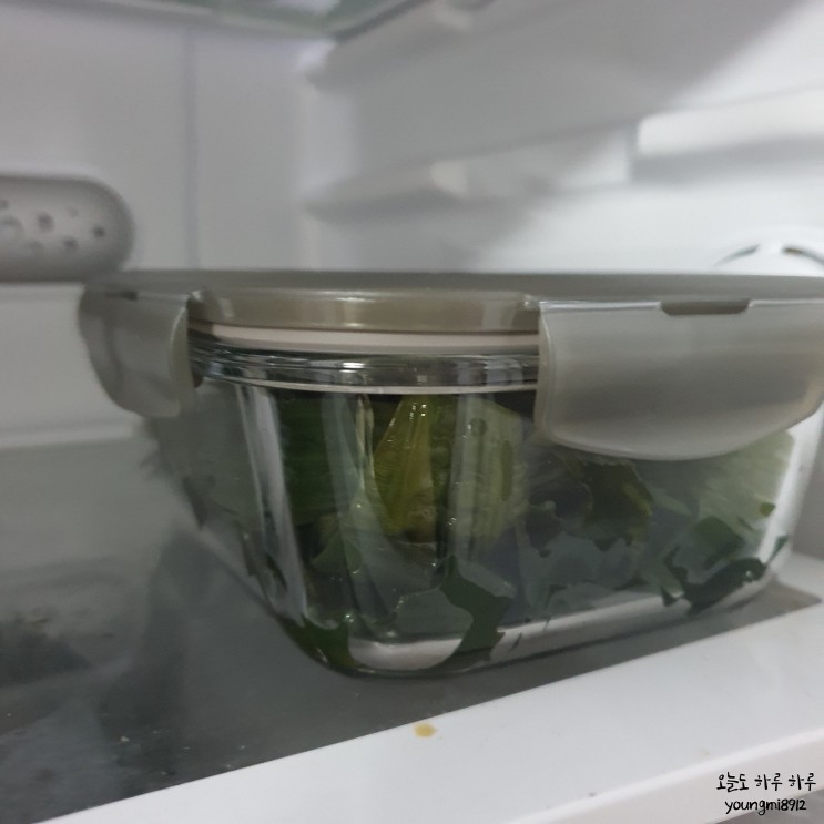 [미야네 밥상]꼬독꼬독한 식감이 일품인 '바다드림 곰피미역 쇠미역'