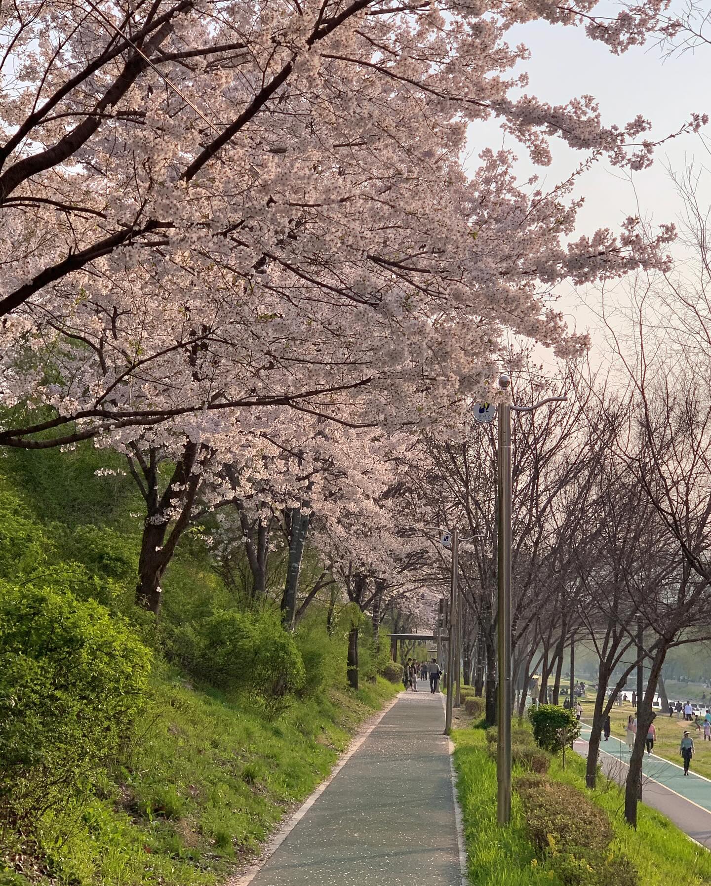 콘텐츠
