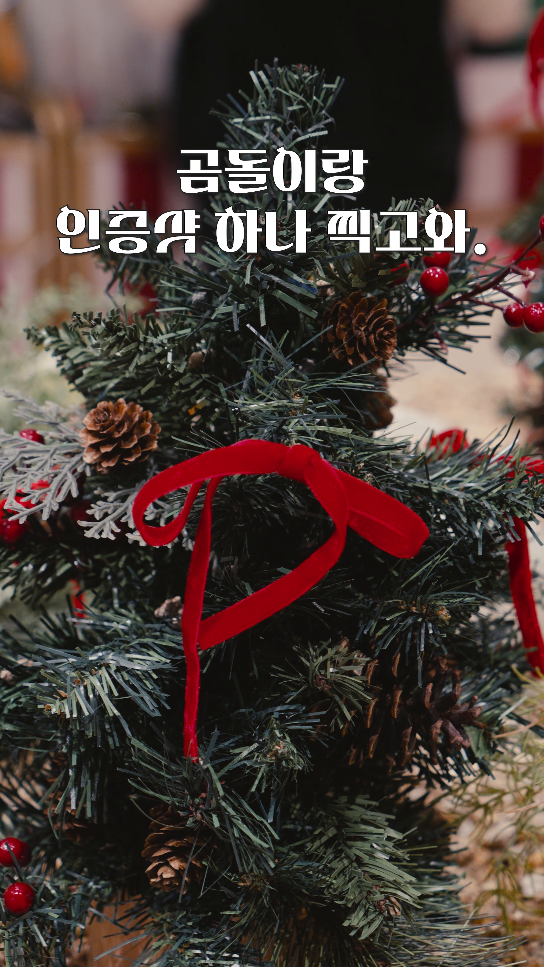 콘텐츠
