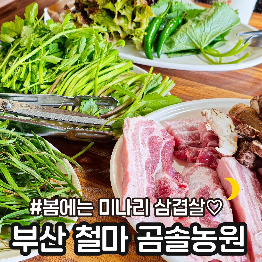 #곰솔농원

📍 부산 철마 #곰솔농원

⭕️ 부산 맛집 추천해주시는 분 추천 맛집 부산갈때마다 하나씩 도장깨기 중인데 지금 먹어야 되는 미나리 삼겹살 먹으러 다녀왔어요 😍

⭕️ 몇년동안 원동가서 먹었는데 엄마집에서 20분 밖에 안걸리는 동네사람들만 안다지만 이제 다 알게된 ㅋㅋ 미나리 삼겹살 맛집 곰솔농원 ㅋㅋㅋ ❤️

원동가서 먹으면 모든 반찬 직접 가지고와야되고 따로 주문해야되는데 여기선 다 나옵니다. 🫶🏻

⭕️ 흑돼지 너무 맛있었는데 표고버섯 이렇게 맛있는거 첨 먹어봤어요 
구웠는데 향이향이 진짜 대박❤️👍🏻👍🏻

초벌부추도 그냥 나오면 끝난거 아닙니까 ㅋㅋ 
미나리 각종 야채들 가득 줘서 정말 많이 먹었어요
묵은지 최고😍

⭕️ 담주 또 가고 싶을 정도 ㅋㅋㅋ 😍👍🏻
영업하는지 전화해서 물어보고 가는거 추천👍🏻

⭕️ 흑돼지 120g 12,000₩

📍 부산 기장군 철마면 곰내길 164
주말 12시 오픈이었어요

👉🏻맛있는 사진은 muk_sour muk_sour muk_sour

#부산맛집 #부산기장맛집 #기장맛집 #부산미나리삼겹살 #미나리삼겹살