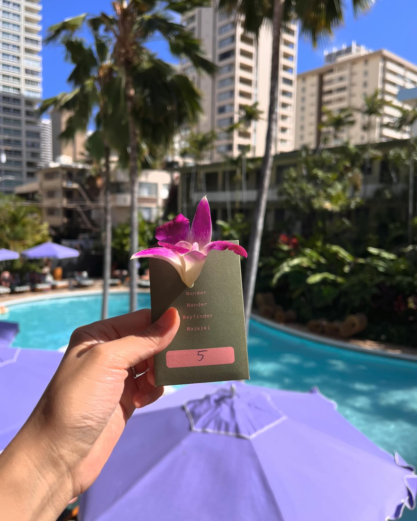 My Hawaii-01
#하와이 미국물가를 실감하게 된 곳
#에어비앤비 예약했는데
 
 방+청소비+에어비앤비세금 
+호텔세금 
+발렛비(하루 주차비 70불)

생각보다 더 비싼물가에 놀랐지만
생각보다 더 예쁜 날씨와 바다에 놀랐던 하와이