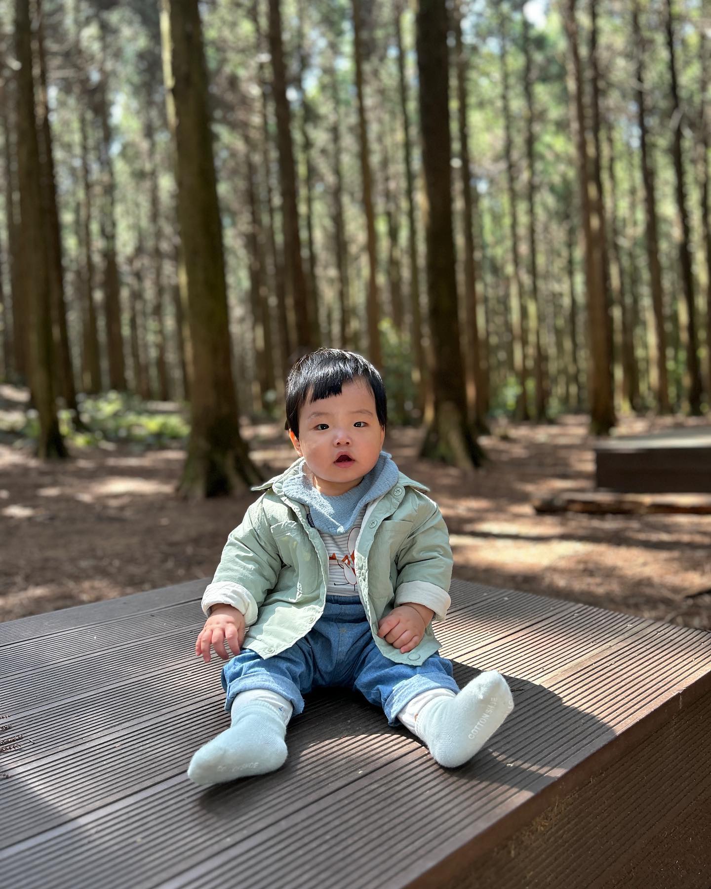 밀리고 밀린 제주기록 13

힐링 그 자체였던 사려니숲🌱
한적해서 참 좋았던 집 근처 산책길🌳

#제주한달살이기록 #준우일기 #10개월아기 #남자아이 #baby #호랑이띠맘 #육아일기 #육아일상 #육아스타그램 #아기스타그램 #20230426 #밀린일기