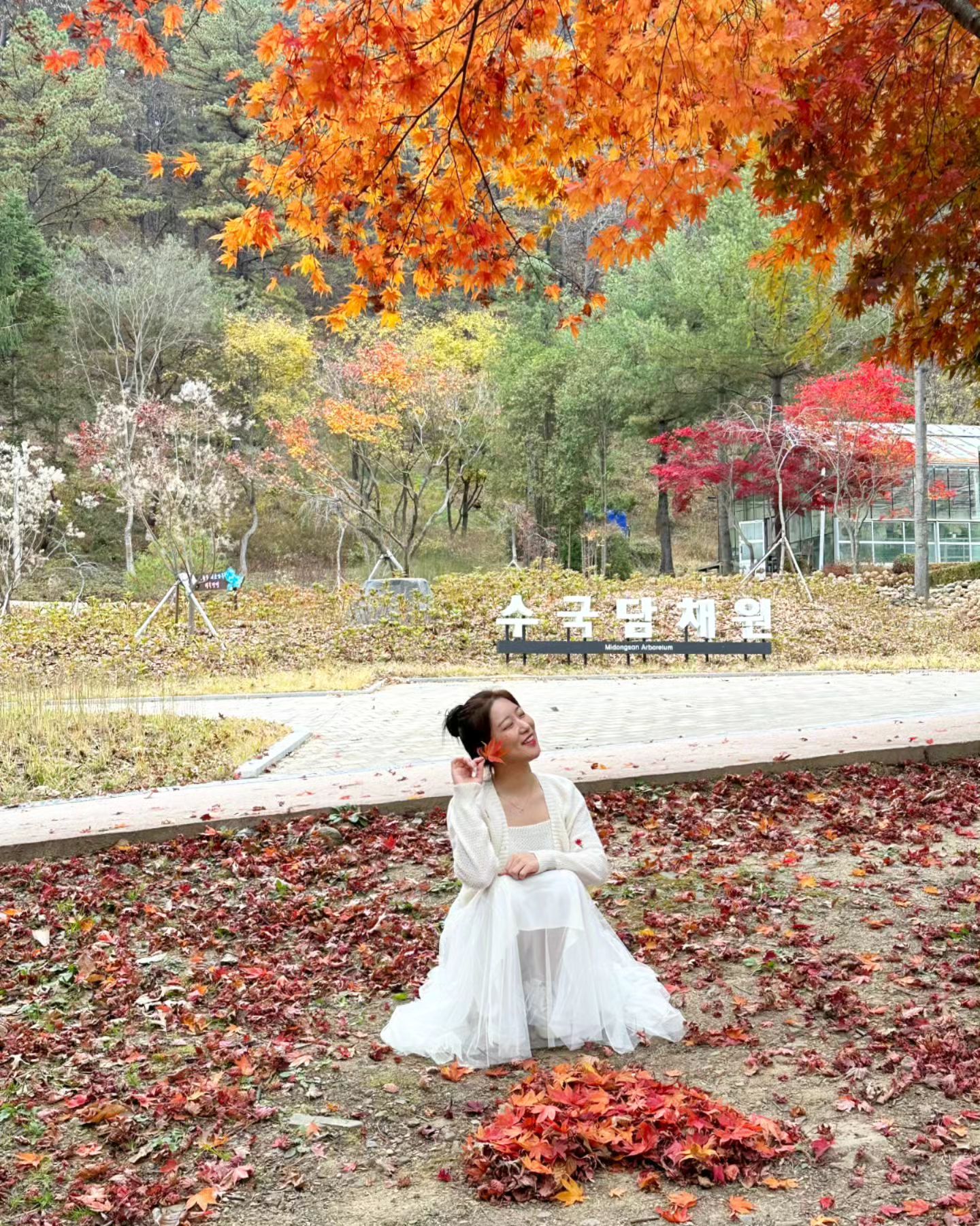 내 소듕한 메론들이랑
원메론🍈💚
이메론🍈💜
박메론🍈💛
정메론🍈💙 in 청주여행❤️
-
좋은 사람들을 만났다는 것에 늘 감사하며,,,💕
-
1박으로 부족했던, 다음엔 체력 비축해서 제대로 인생얘기 나눠보쟝~~🫣
.
.
.
#insta #instagram #daily #autumn #fall #friends #cheongju #tour #청주 #청주시 #청주여행