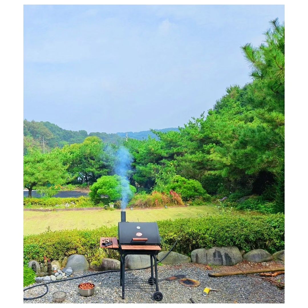 #군밤 🌰

밤은 익어가고 신랑은 잔디깍고🤣
명절엔 역시 잔디미용이지 👍
.
.
.
#시댁스타그램#잔디#갬성