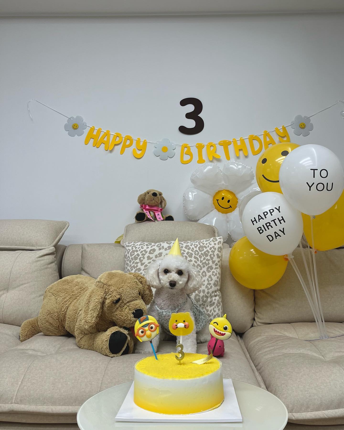 3rd birthday 🎂
#0822 
.
.
.
#강아지 #강아지생일 #강아지생일파티 #보리 #토이푸들 #강아지생일상 #3살 #20200822 #3번째생일 #생일축하해 #오래살자 #강아지옷 #강아지일상 #강아지그램 #강아지스타그램 #강아지미용 #강아지인형 #강아지모델 #강아지소통 #멍팔 #멍팔맞팔 #멍팔환영 #댕댕이 #댕스타그램 #댕팔 #생일 #생일파티용품 #강아지의류 #강아지장난감