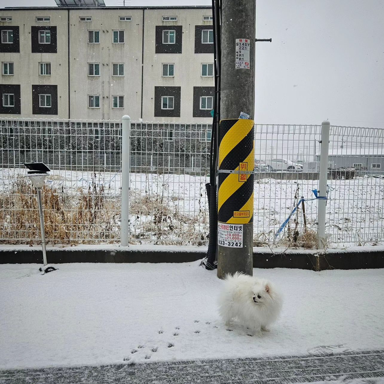 콘텐츠