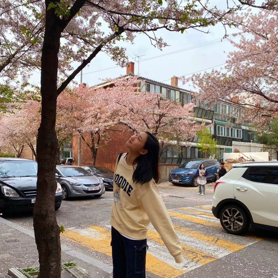 나도 드뎌 봐따🌸 

#벚꽃 #yorushika