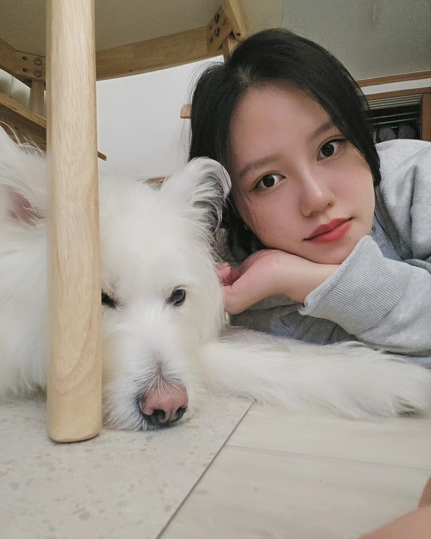 엄마가 한창 귀찮을 나이 3살,,, 야! 사랑한다고 ! 🤡
-
#일상 #반려동물 #사지말고입양하세요