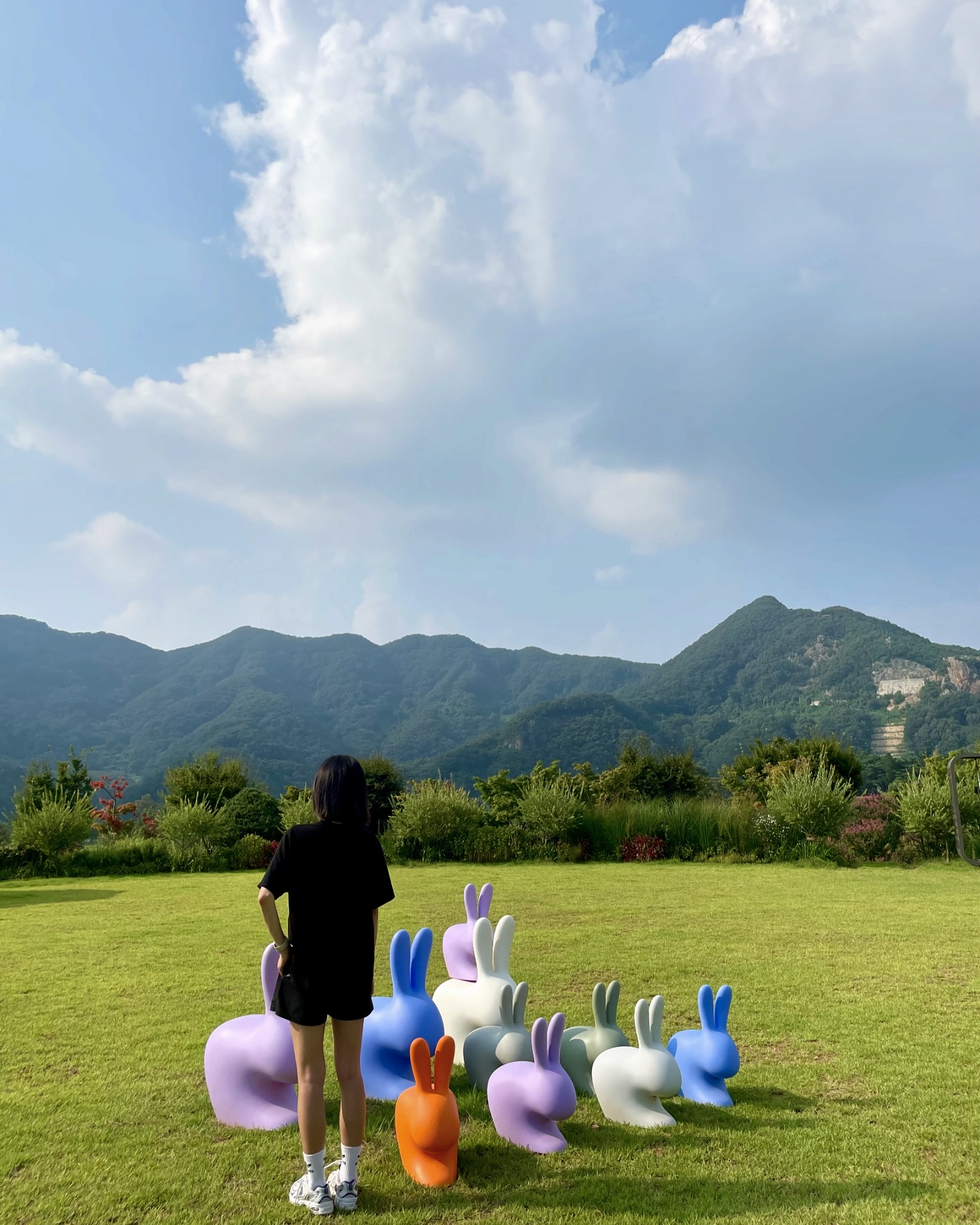 붕어섬🌳
