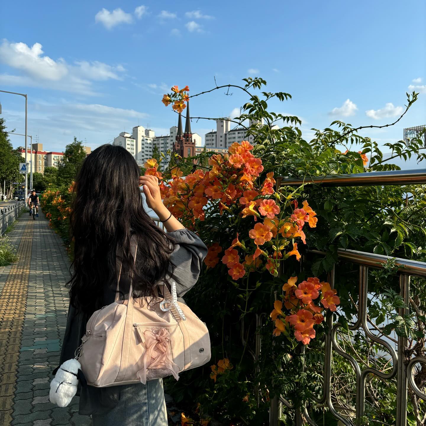 능소화 내가 젤 사랑하는 꽃🌺