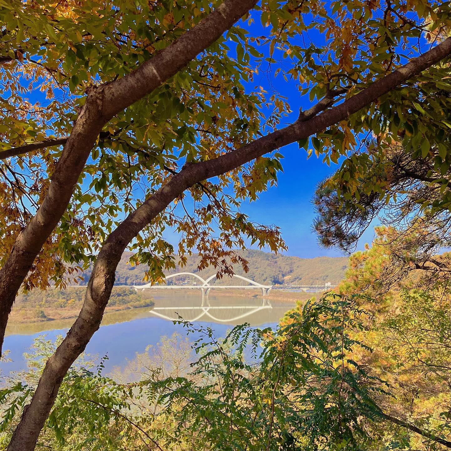 안동에서 먹은 것들 🍂

생고기+육회, 어탕칼국수, 멍게+생새우

근데 역시 생고기는 대구가 짱이얏!