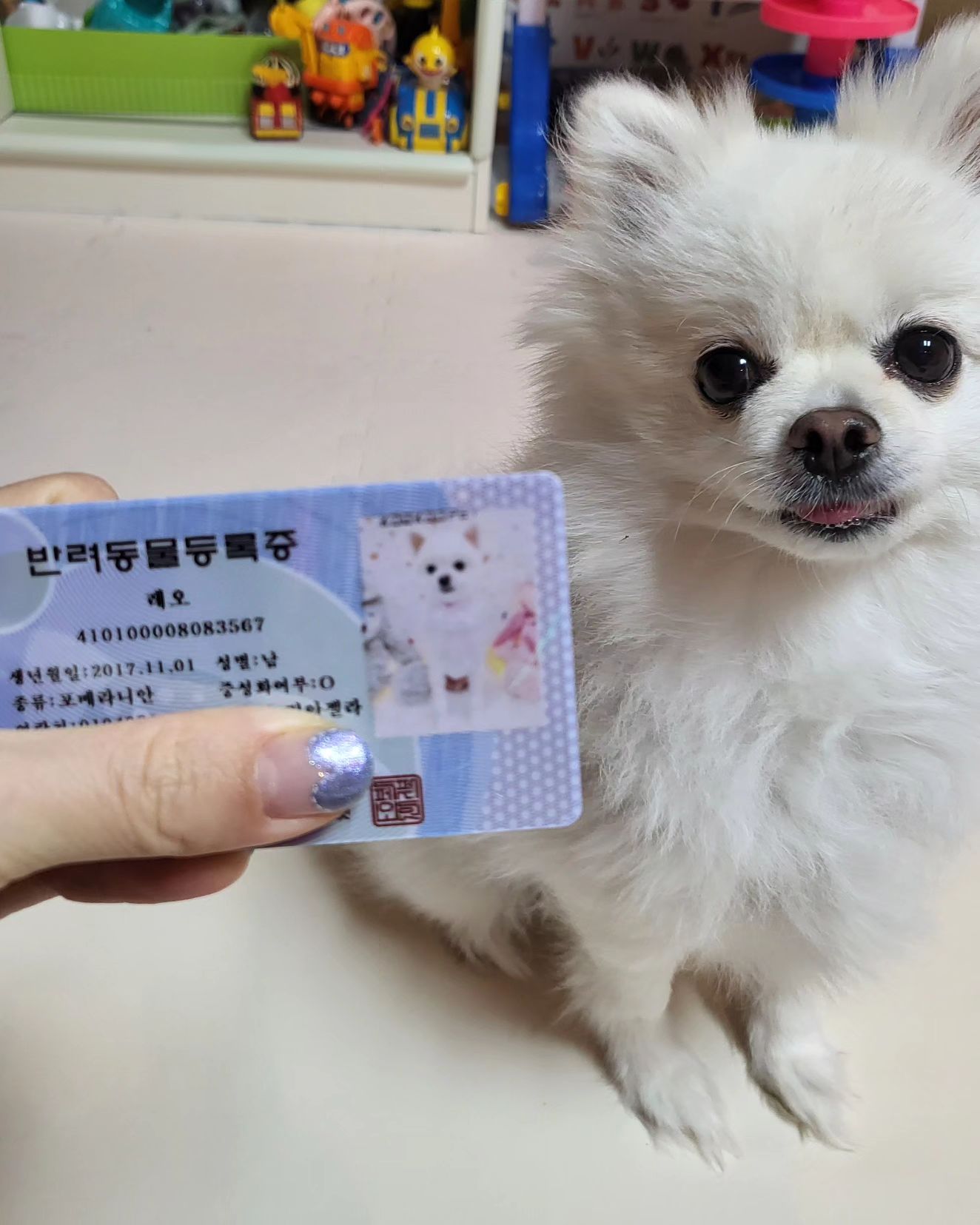 #협찬

댕댕이 키우시는 분들은 넘 개이득인! 페오펫 올라이프 멤버십을 소개합니다!

강아지 키우시면서 병원도 가고 각종 용품들도 구입하는 일이 매번 생기잖아요?? 그럴때 간단하게 영수증 찍고 페오펫몰레 업로드만 하면 진짜 간편하게 페이백 신청 끝이고 또 그걸로 각종 사료, 패드, 장난감, 간식, 용품 등등등을 할인 받고 구매도 가능하니!! 저희도 그 마일리지로 요번에 사료 넉넉히 구매했어요.

구독료 대비 최소 4배 이상 혜택이라 저도 직접 사용해보니 진짜 넘 과정도 편리하고 또 그 마일리지로 다시 필요한 걸 구입하니 넘 좋더라구요!!!

지금 가입하면 우리 아이 예쁜 개민증 무료 증정 이벤트도 진행중이니 멤버십 가입은 peopet_official 계정 프로필 링크를 통해서 가입해주세요!

peopet_official

#협찬 #멍스타그램 #애견용품 #애견카페 #강아지그램 #개민증 #강아지용품 #애견펜션 #동물병원