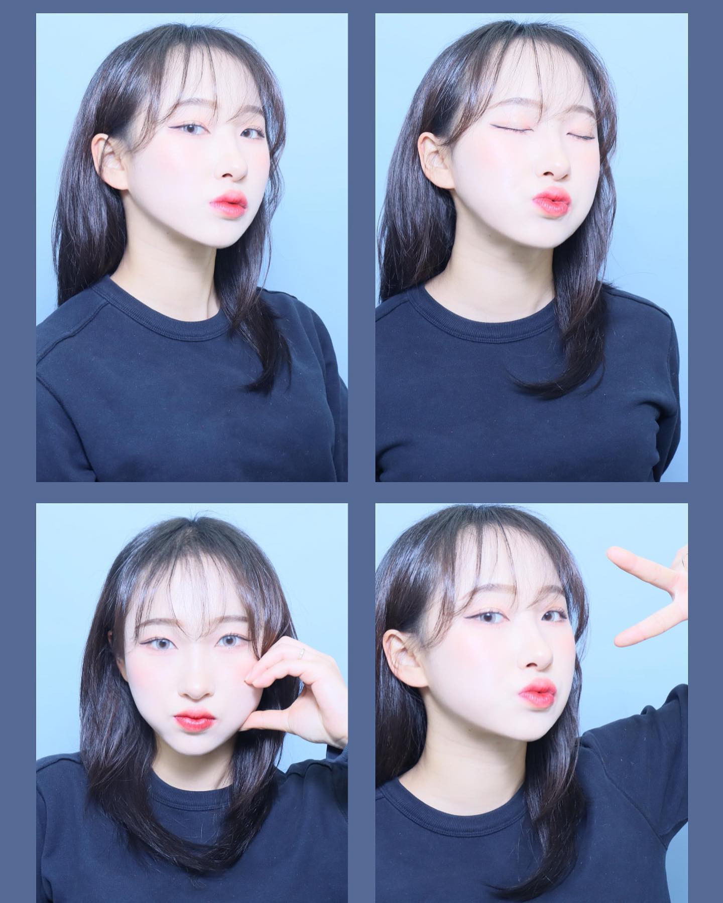 🐰