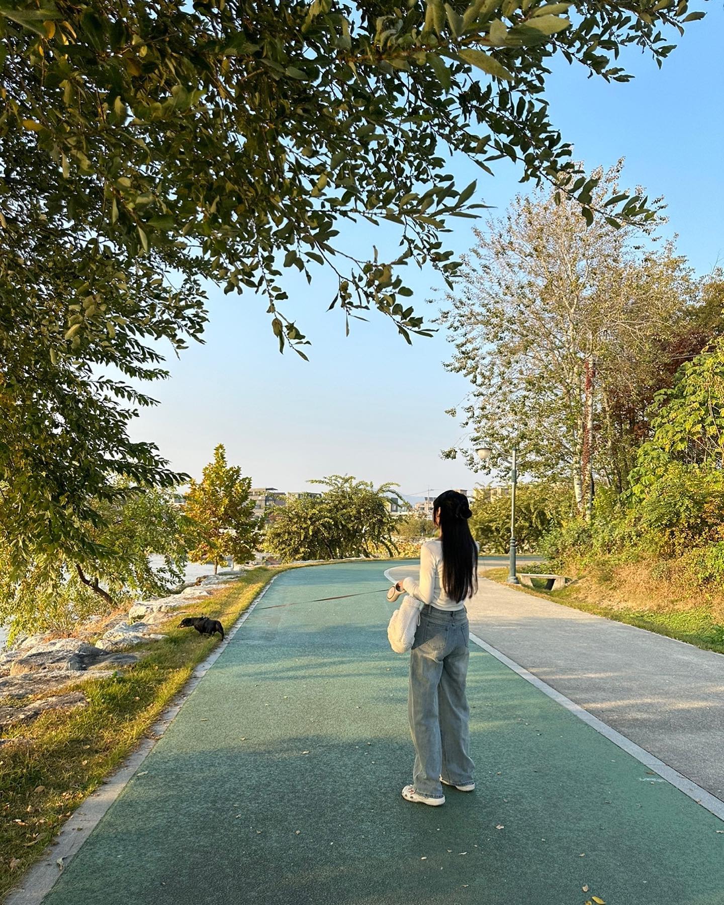 요즘 산책 쫌 재밌네 ??