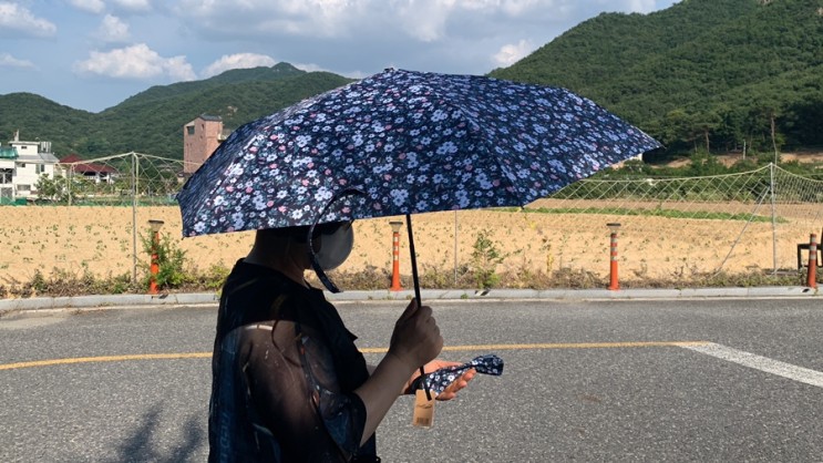 암막우양산 레인앤훼밀리 크로커다일 3단양산 부모님 선물로 딱이야