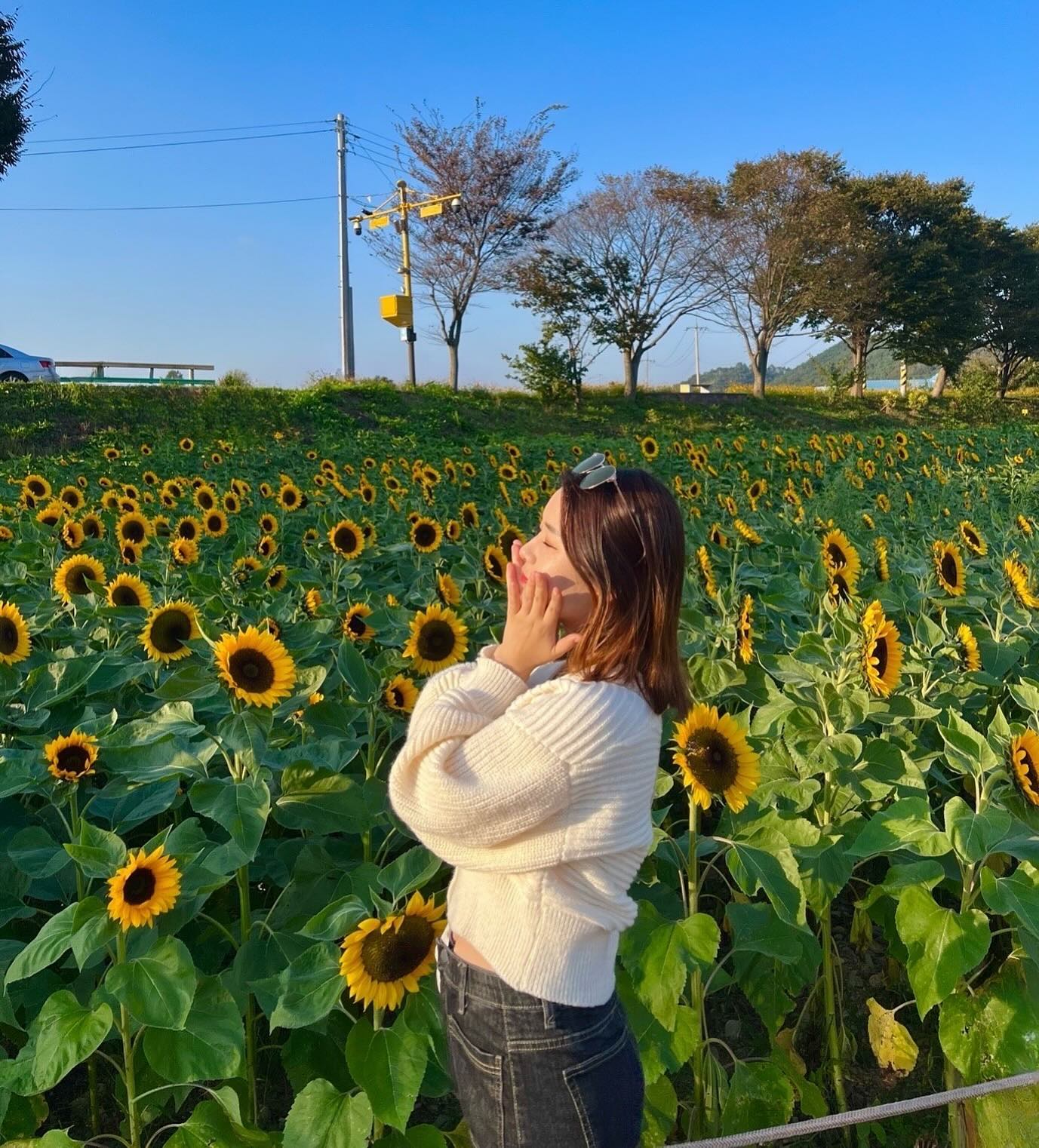 🌻