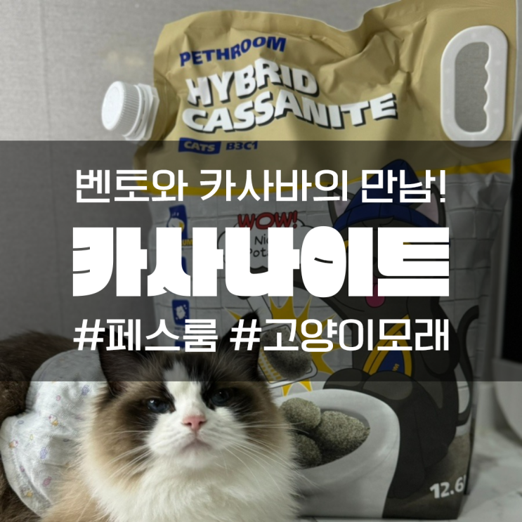 페스룸 카사바, 벤토 하이브리드 카사나이트 고양이 모래 추천