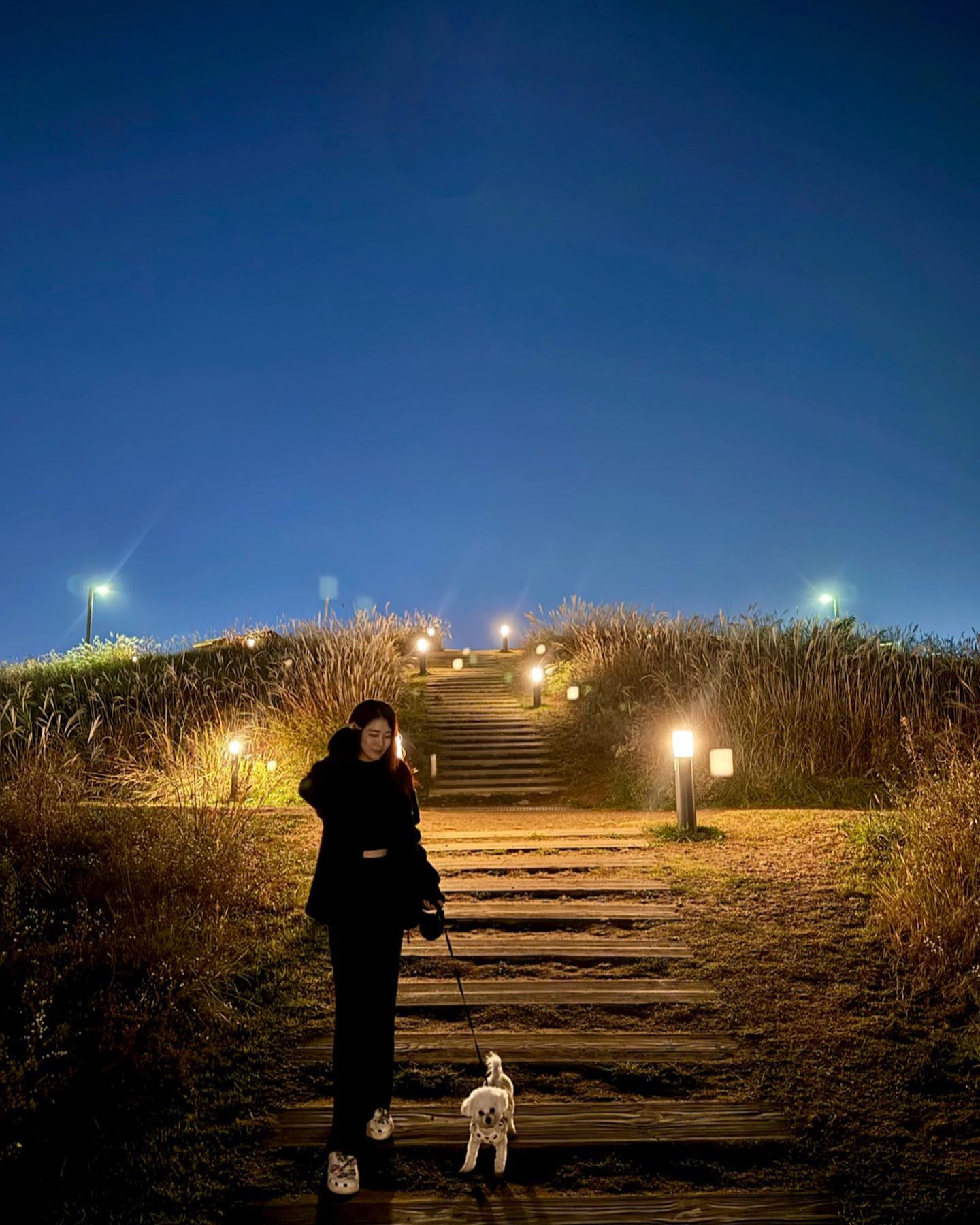 가을느낌 한가득 담겨있는 배곧 생명공원🍂
이번 주말이 지나면 겨울이 올거같다..
귀여운 소다와 함께 산책을 하고 왔는데,
조명 때문인지 너무 낭만적이였던 밤 산책🤭
가을도 이젠 안녕~

#가을끝 #겨울시작 #배곧 #배곧생명공원 #산책 #일상 #맞팔 #멍팔