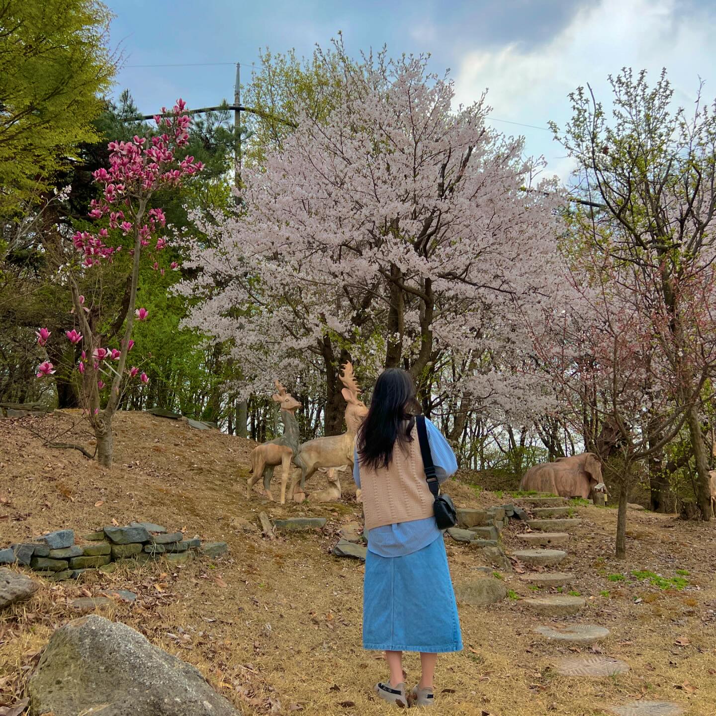 #꽃 구경 좋아할 나이🌸

2024년 #봄 

#20240410
밀린 #일상 #기록스타그램