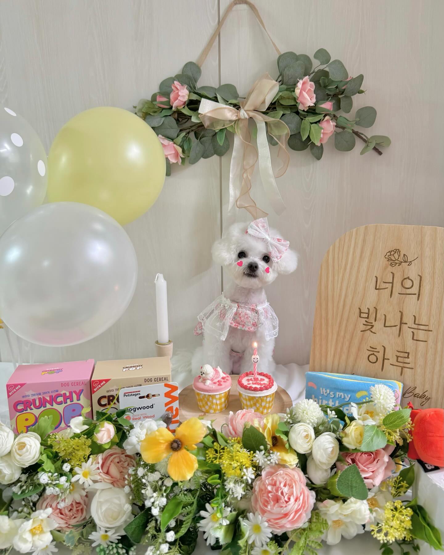 말랑콩떡 김 비누 🫧🧼
한 살 된 거 축하해 🎉
너무 쪼꼬매서 언제 크려나 기대 반 설렘 반으로 지내왔는데 잘 자라줘서 고마워🤍🤍
부유하게는 못해줘도 부족함 없이 키워줄께...ㅠㅠ♥
첫 생일이라 이것저것 많이 준비했는데 사진에 다 안 담겨서 아쉽당
비누야 앞으로 쭉- 행복하자 🫶🏻 #간식길만걷자💗
