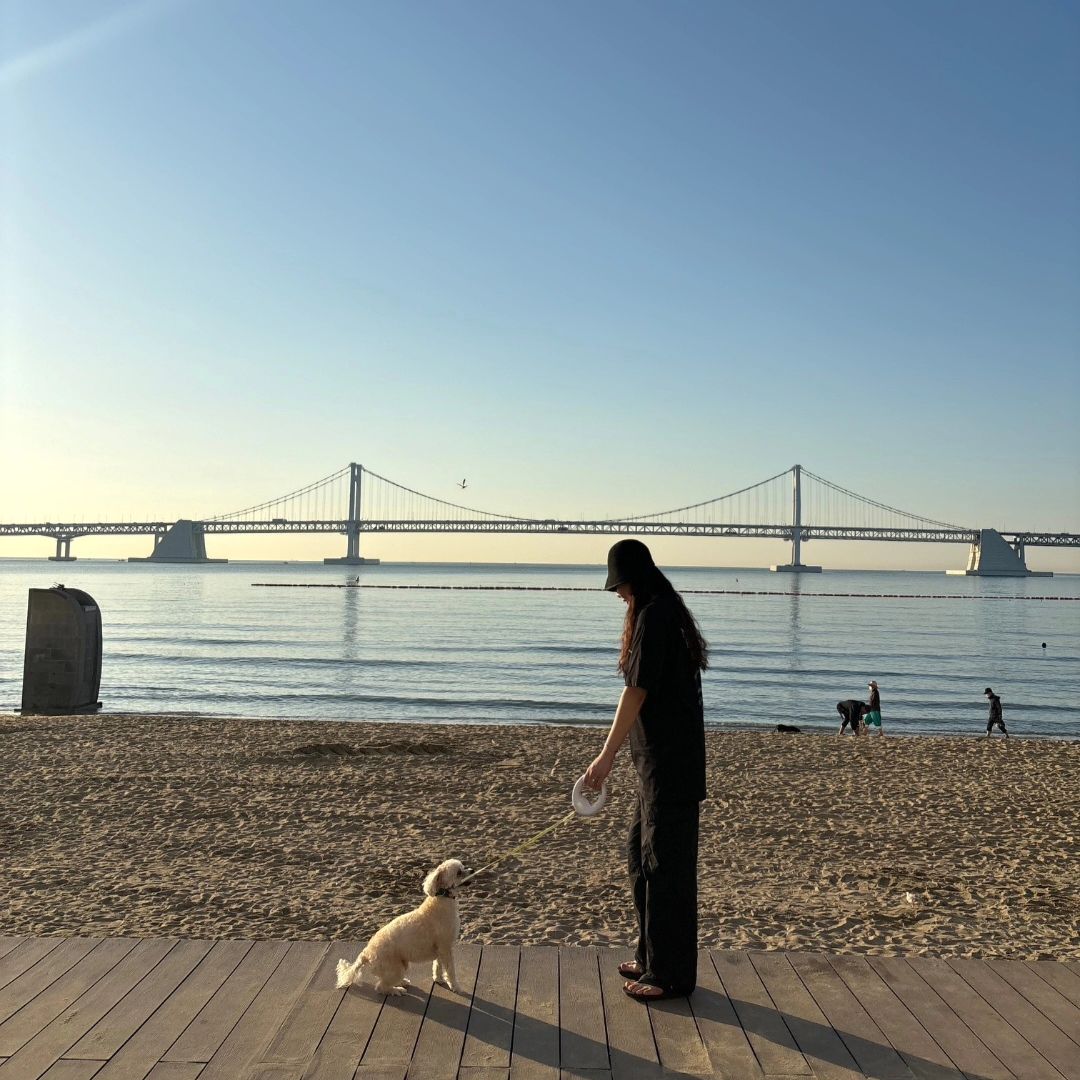 또 부산가자 크림아 ! 🐶 💛
photo by 바겨사