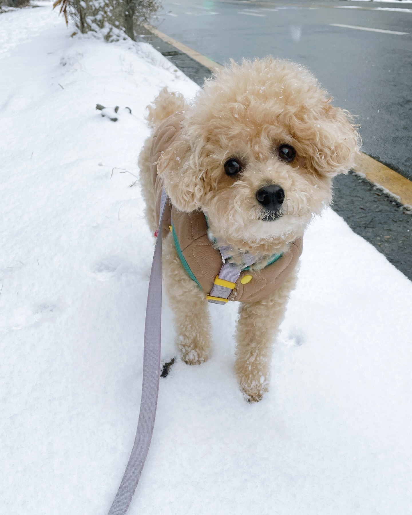 펑펑 눈 오는 날 ❄️