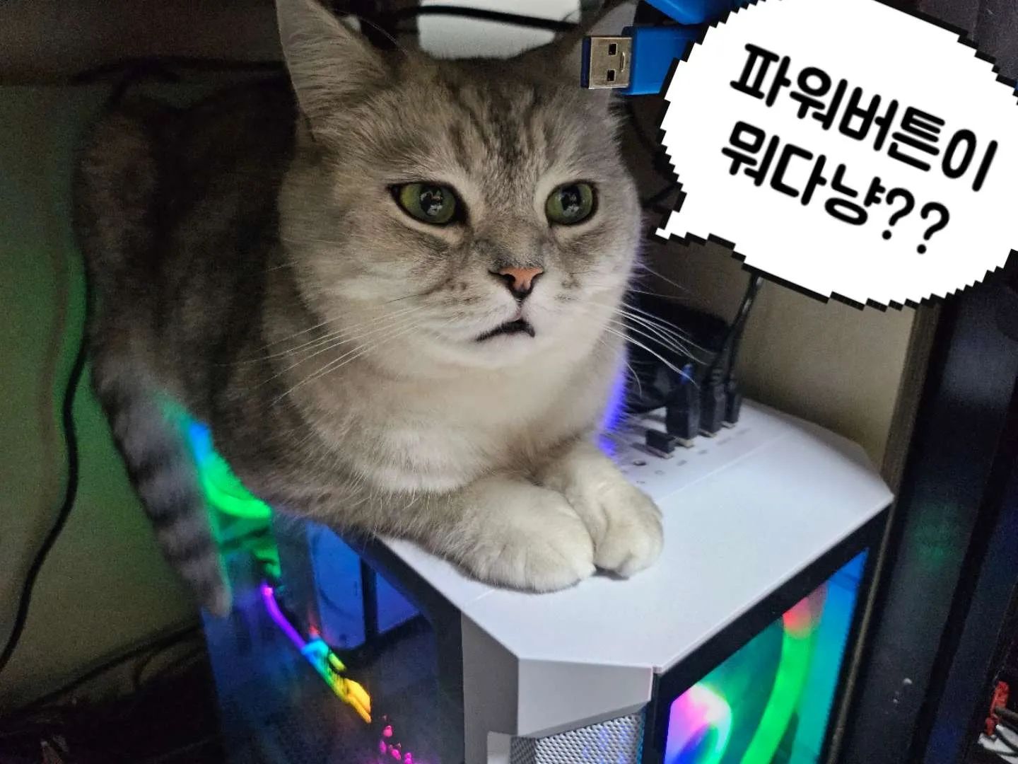 옴마 옆에있고싶어서 자리잡았는데

#파워버튼 그게 대체 뭐다냥??

옴마는 계속 누르라하고~
아빠는 누르면 큰일난다하고~

파워버튼 그게 뭔데!! 대체 뭔데!!

그런건 모르겠고~ 따뜻하니 잠이 솔솔 온다냥💤
.
.
.
.
.
.
.
#거기몽실이누나자리인데 #오늘은은비자리 #하필거기에자리잡았어
#남집사식겁 #여집사만신남 #하필파워버튼위발 #고양이일상 
#고양이와집사 #애묘 #고양이발 #귀여운고양이 #장난꾸러기고양이