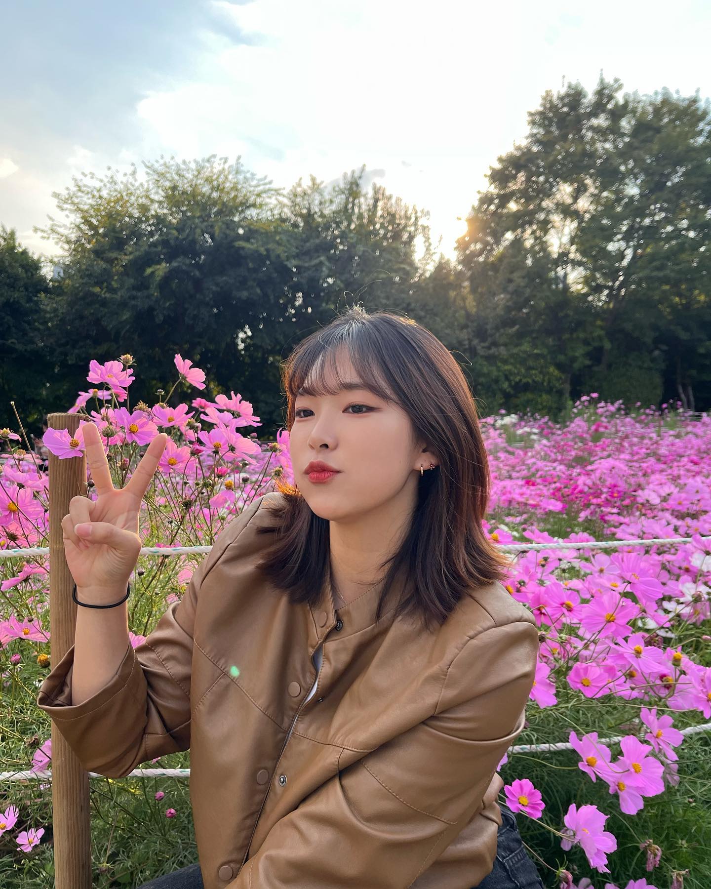 콘텐츠